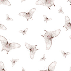 Watercolor seamless pattern with butterflies. Insect print on white background. Hand drawn illustration