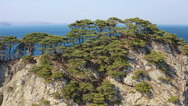 Rocky cape overgrown with pine trees in windy weather. Drone view
