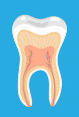 Caries, tartar or tooth cyst treatment icon vector on the blue background. Removal tooth symbol. Problem of pulpitis, periostitis, alveolitis.