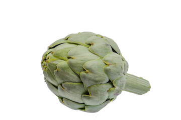 Raw and fresh artichoke isolated on white background with space for text