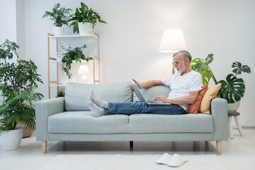 Senior employee works online lying on soft couch against bright lamp and pot-plant at home. Focused elderly man types report in laptop leaning on cushions