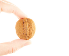 image of walnut hand white background 