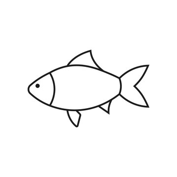 Fish icon. Vector. Line style.	