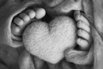 Photo of the legs of a newborn. Baby feet covered with wool isolated background.