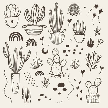 Vector boho cactus set. Plants in a flower pot and succulents. Moon and star. Warm color illustration. © Ирина Усманова