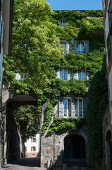 An old stone house in the town of Sion in Switzerland, all overgrown with bushes.