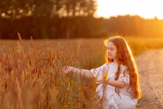 Cute girl touching rye or wheat sprouts in a field on sunset.