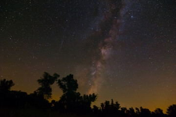 Fototapeta na wymiar forest glade silhouette under starry sky with milky way, night outdoor landscape,