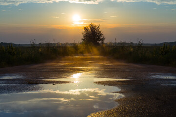 asphalt road with puddle after a rain at the sunset