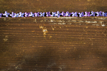 purple lilac  on an old wooden table