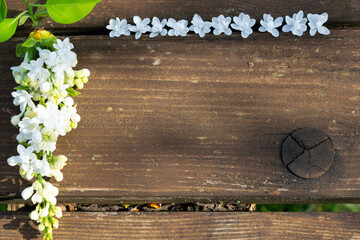 white lilac on an old wooden table
