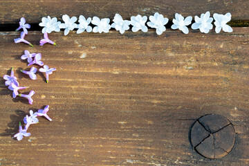 white and purple lilac flowers on an old wooden table