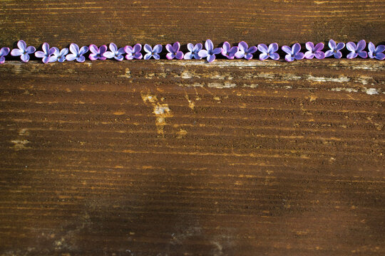 purple lilac  on an old wooden table