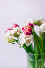 Pink Tulips Flowers Bouquet on a Light Background