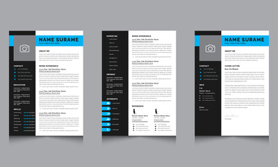 Professional Resume CV Template with Resume Layout design