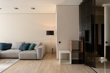 modern living room with gray sofa
