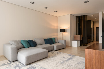 big gray sofa in a modern apartment, living room interior