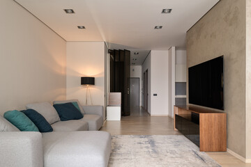 modern living room with gray sofa and big TV
