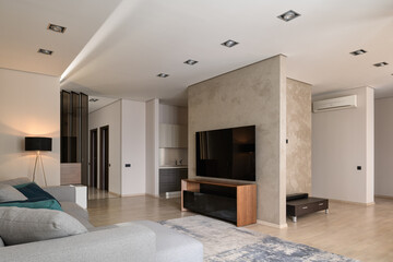 modern living room with gray sofa and big TV