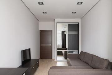 modern living room, living room in brown tones, brown sofa