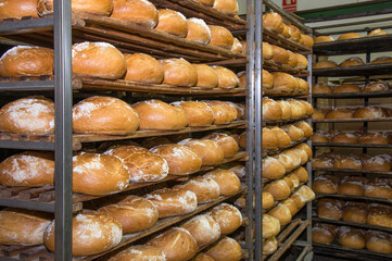 Bandejas de pan recién horneado en una panadería industrial - obrazy, fototapety, plakaty