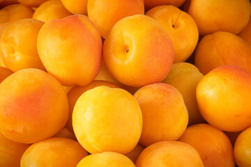 Natural  fruit background of ripe orange and yellow apricots close up.