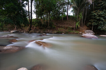 River rapids on forest background