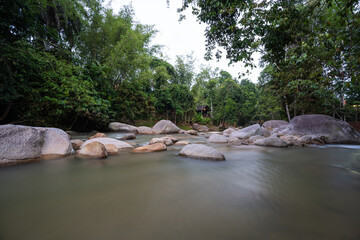 River rapids on forest background