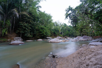 Obraz premium River rapids on forest background