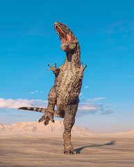 giganotosaurus is very aggressive on sunset desert © DM7