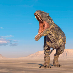 giganotosaurus is angry with the  jaws wide open on sunset desert © DM7