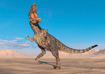 giganotosaurus is doing a fight pose on sunset desert © DM7