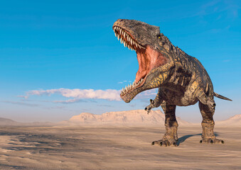 giganotosaurus is doing a intimidating pose on sunset desert with copy space