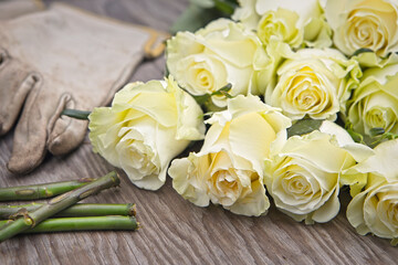 Fresh roses and gardening gloves.