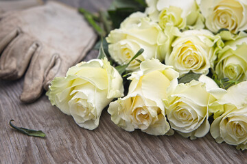 Close up of roses and gloves.