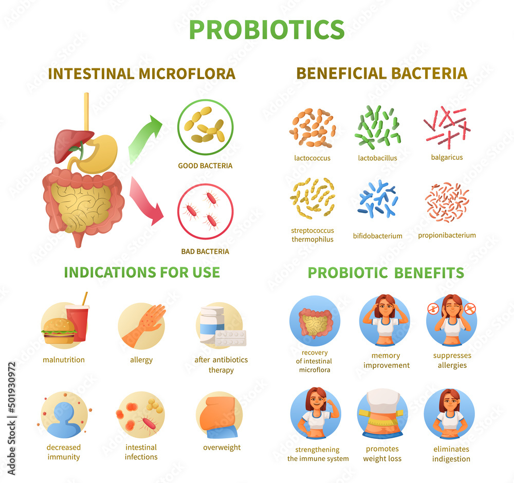 Poster probiotics infographics cartoon set