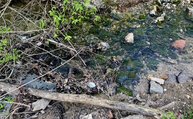 discarded medical face mask in stream