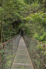 Hanging bridge in a Costa rican rainforest.