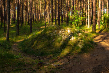 A burial ground near Wesiory village, Poland.