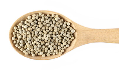 Grain white pepper pile, peppercorn in wooden spoon isolated on white, top view  