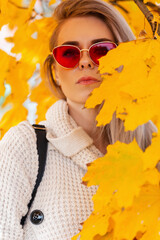 Autumn female portrait of a beautiful young girl with red glasses in a vintage knitted sweater stands in a bright golden leaves in the park