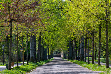 Fototapeta premium The Lichtentaler Allee in the spa gardens of Baden Baden. Baden Wuerttemberg, Germany, Europe
