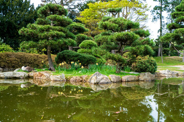  Japanese garden in Nordpark, Dusseldorf, Germany