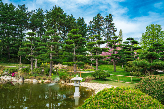  Japanese Garden In Nordpark, Dusseldorf, Germany