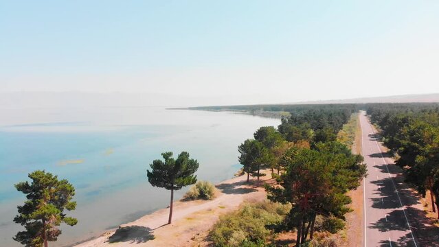 Aerial static view Sevan lake panorama with pine trees and beach in sunny summer day. Armenia holiday destination . Tranquil nature landscape caucasus