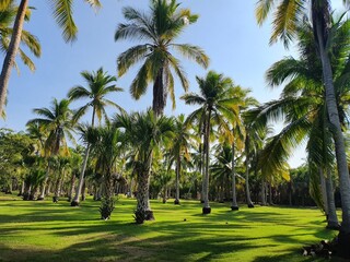 Mexiko Huatulco Urlaub