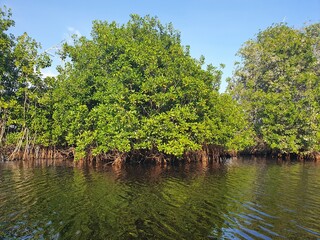 Mexiko Huatulco Urlaub
