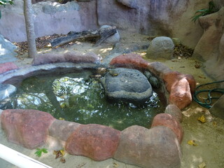 Mexiko Huatulco Urlaub