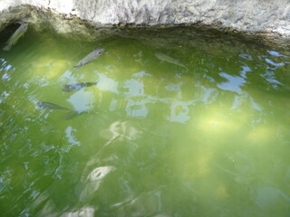 Mexiko Huatulco Urlaub