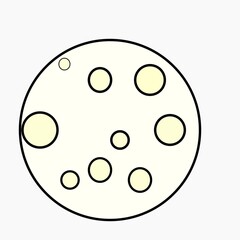 illustration of a olives